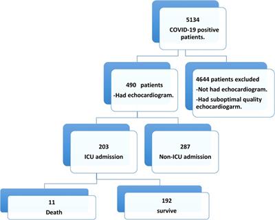 Association between echocardiographic features and inflammatory biomarkers with clinical outcomes in COVID-19 patients in Saudi Arabia